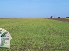 ARiMR uruchamia dopłaty do kredytów preferencyjnych. Nowe limity dla rolników od 6 marca