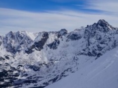 Atak niedźwiedzia w Bieszczadach. Eksperci ostrzegają przed wiosną
