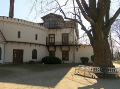 Ponad 300-letnia Lipa Sobieskiego z Przeworska w finale konkursu „Drzewo Roku”