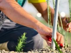 Płacą 14 tys. zł miesięcznie, a wymagania są minimalne. Polacy i tak kręcą nosem na tę pracę