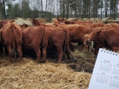 Dobrostan zwierząt 2025. Ważne terminy dla hodowców do 21 marca