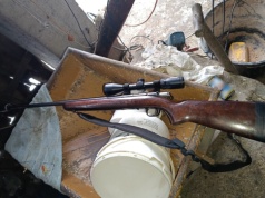 Seria kradzieży bydła na Podlasiu. Straty sięgają 60 tys. zł