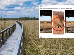 Pokazali, co zrobił turysta w parku narodowym. "Szczególnie niepokojące"