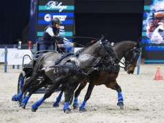 CAVALIADA Tour. Najlepsi powożący zaprzęgami parokonnymi