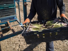 Brytyjczycy w obliczu zmian klimatu. Eksperci wzywają do gromadzenia żywności