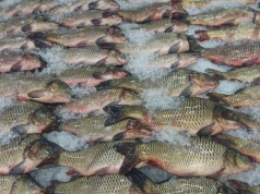 Więcej czasu na realizację inwestycji A1.4.1 w ramach KPO