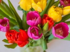 Kwiaty w wazonie szybko więdną? Mało kto wie, że znaczenie ma ilość wody