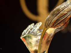 Orły 2026 rozdane. Oto pełna lista zwycięzców