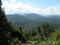 Malezyjczycy odnaleźli cenne metale pod chronionym obszarem. Teraz stoją przed wielkim dylematem