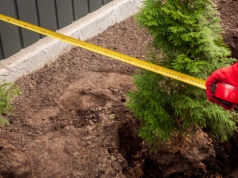 Sąsiad wkroczy nam na działkę i do mieszkania. Nowe przepisy już są