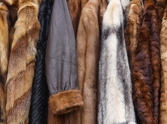 Chcą zakazu w całej UE. Na futrach wyświetlili nagrania