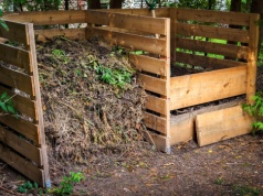 Odpadki przemieniają w „czarne złoto”