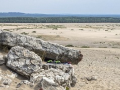 Wiosenny spacer po Pustyni Błędowskiej. Unikalny rejon zachwyca turystów