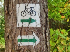 Na Podkarpaciu powstanie nowy szlak rowerowy. Będzie częścią Green Velo