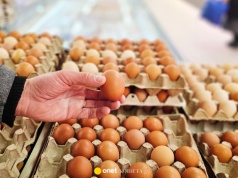 Lidl rezygnuje z jaj z chowu klatkowego. Sieć odpowiada na oczekiwania klientów