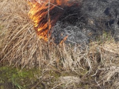 Rusza „sezon” na wypalanie trwa. To szkodliwe! I karalne!