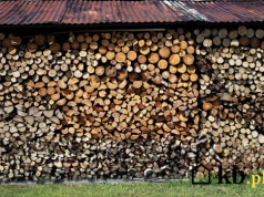 W ten sposób w kilka sekund odróżnisz suche drewno od mokrego. Nie potrzebujesz miernika