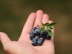 Co jedli pierwsi Europejczycy? Zdradza to ceramika sprzed tysięcy lat