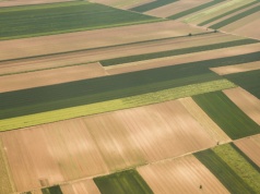 Artykuł naukowców z IGiK o detekcji szkód w uprawach wyróżniony