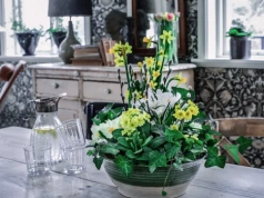 Polki zwariowały na punkcie tych kwiatów. Florystki mówią o gorącym trendzie wiosny