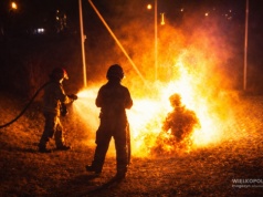 Dramatyczne sceny w poznańskim parku. Świadkowie zobaczyli płonącego mężczyznę