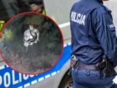 Wpadł w mieszkaniu na Mokotowie. To on miał ostrzelać budynek liceum