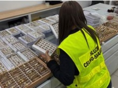 Podróbki za 6,5 mln zł. To znaleźli w warszawskim centrum handlowym