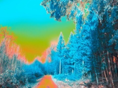 Takiej komunikacji nie da się złamać, ani przechwycić. Wystarczy ta jedna rzecz