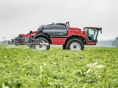 Trudny sezon dla ziemniaka. Odchwaszczanie bez metrybuzyny