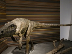 Wielki jak dwa niedźwiedzie. Netflix pokazał ogromną bestię z Europy