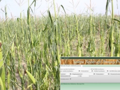 Od września nowe zasady w ubezpieczeniu upraw: rolnik płaci składkę, ubezpieczyciel raportuje do systemu