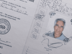 Co się stało w celi Epsteina? Nowe zeznania wstrząsają opinią publiczną