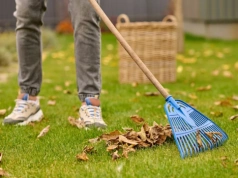 Zrób to z trawnikiem w marcu. Inaczej pojawią się łyse placki