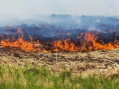 Zrobiło się ciepło i koszmar powrócił. Kara to nawet 30 tys. zł
