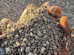 Siarka – składnik, który może być ograniczony z powodu wojny na Bliskim Wschodzie