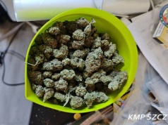 Narkotyki w jednym z podszczecińskich mieszkań