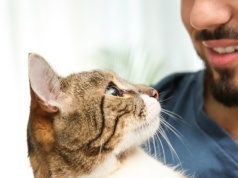 Twój kot nie zachowuje się tak, jak tego oczekujesz? Zwróć uwagę na jedną rzecz