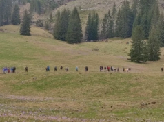 Turyści chcą je zobaczyć na własne oczy. Zakopane czeka oblężenie
