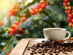 Ulewne deszcze niszczą uprawy kawy w Brazylii. Czy ceny ponownie wzrosną?