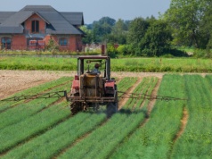 Sensacyjne odkrycie. Znalazł w ogródku formę odlewniczą z epoki brązu