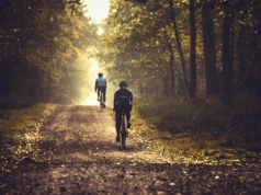 Jakie hamulce rowerowe wybrać – szczękowe czy tarczowe?