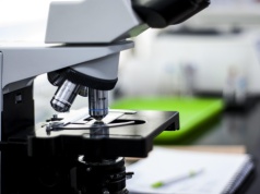 Nowy preparat opracowany w Krakowie może pomóc w walce z chorobami roślin