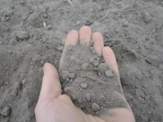 Jak odbudować zmęczoną glebę pod truskawkami? Rozwiązania biologiczne w praktyce