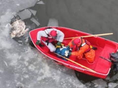 Niepokojące odkrycie na jeziorze. Z wody wyłowiono martwe ptaki