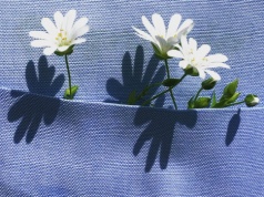 cytat Marek Hłasko o czekaniu na wiosnę