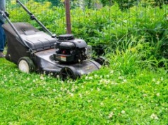 Kosisz trawę w weekend? Oto co mówi prawo