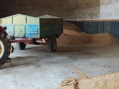 Powstaje kalkulator opłacalności. Nowy pomysł na ceny skupu