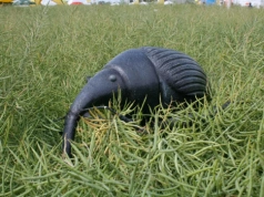 Trzy zabiegi czy jeden? Różnica w plonie rzepaku może sięgnąć 35%