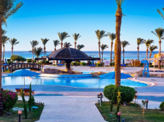 Egipskie nurkowanie w Marsa Alam 🐠🤿 4* hotel all inclusive za 1299 PLN 🏖️☀️