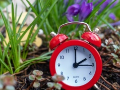 Nie prześpij zmiany czasu. To w ten weekend trzeba przestawić zegarki